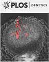PLoS Genetics雜志封面